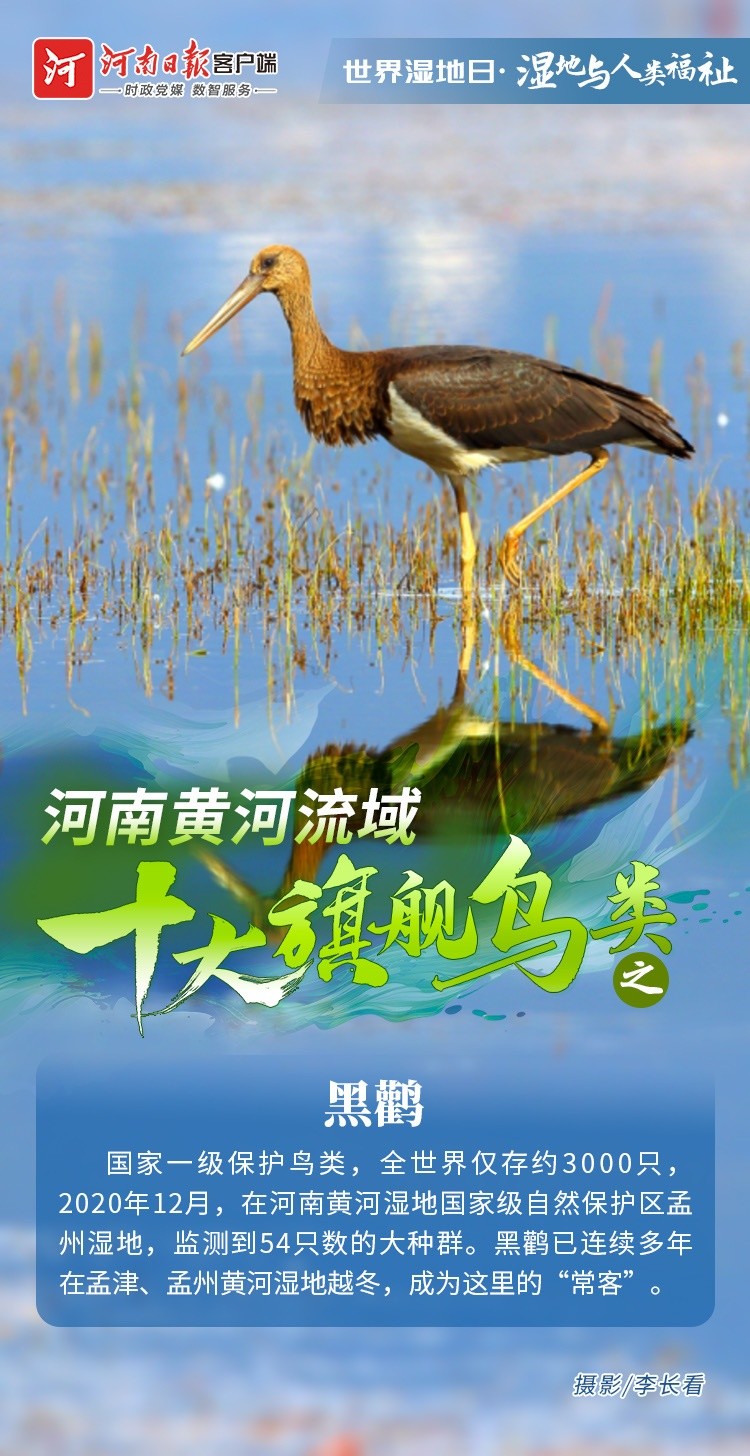 8004022170492808 225fe6152a343e777003379362fe8878.jpg