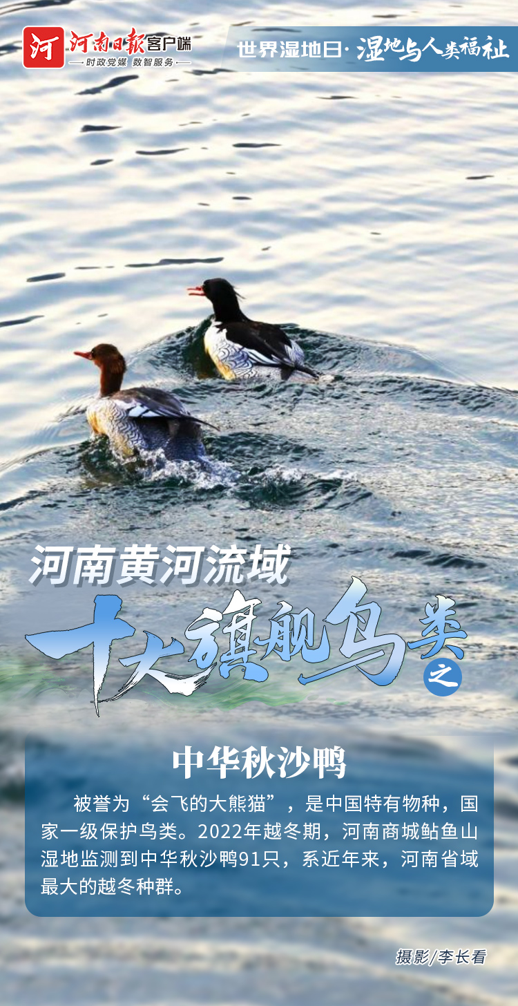 7500682095492869 db4e9d9becedb367946e9d848ffa3067.jpg