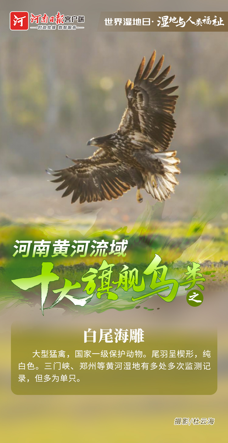 7006116277864749 442919e67eb98f672858cd7bb7f2bbb5.jpg