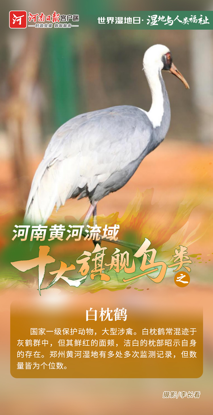 2810196416214885 d829673b85b6e2deaa8012554a498799.jpg