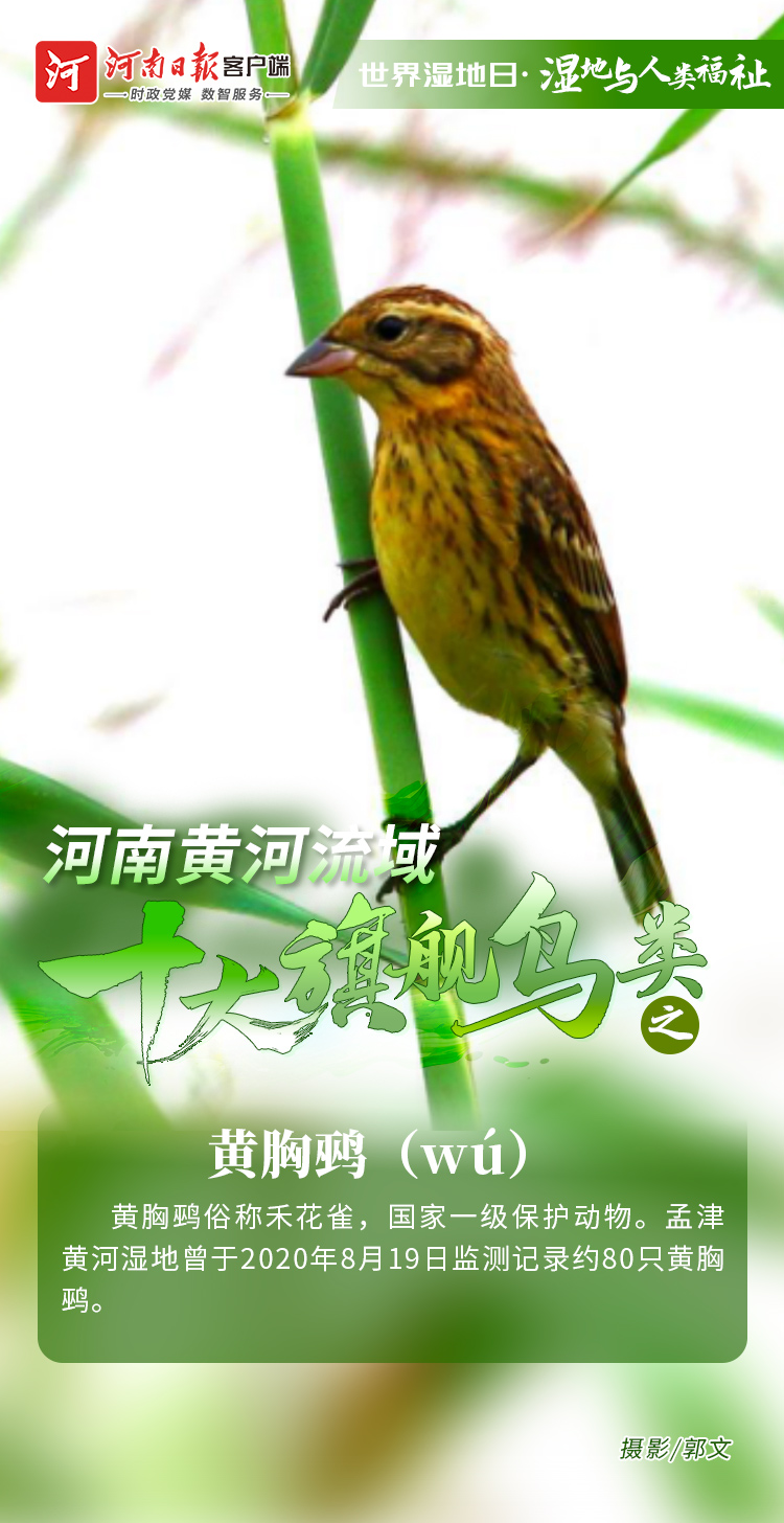 16173398140925376 896dc0e840727507e7cc05674417630d.jpg