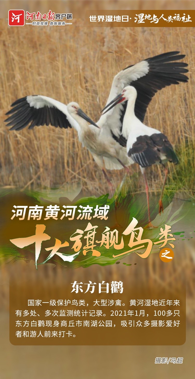 992829421168202 e9d03d6a021ef58dd4ba54cfe0db105c.jpg