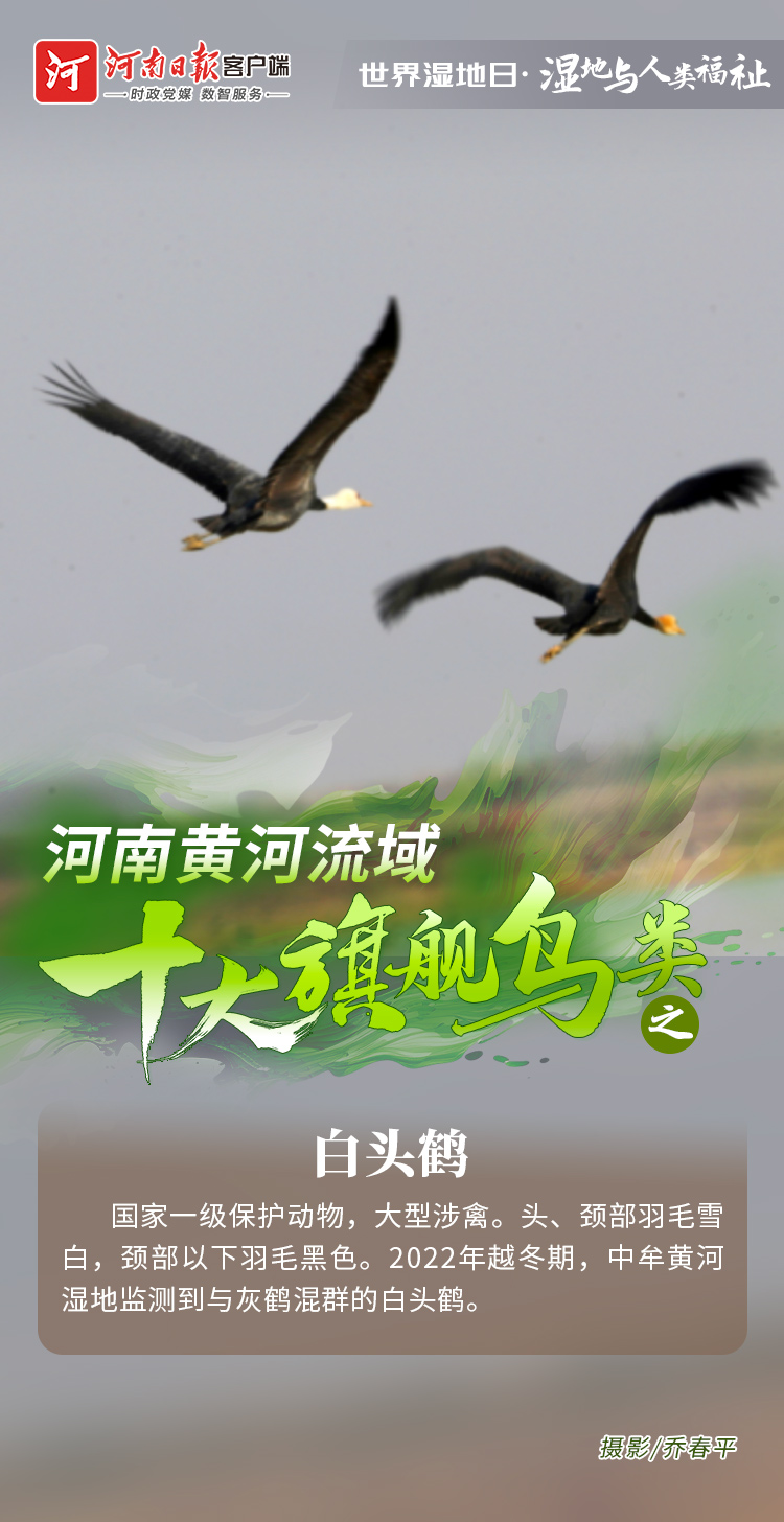 30442446886537055 d0c385a56ca3902e15d84cc2eea3e6e7.jpg