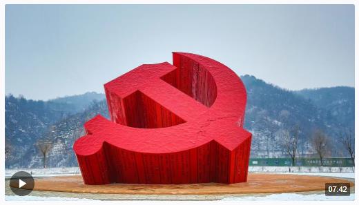 時政微視頻丨辦好這件事關全局的大事