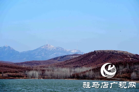 詩朗誦《銅山湖雪岸、玉樹、水鳥........絕美的一幅畫》