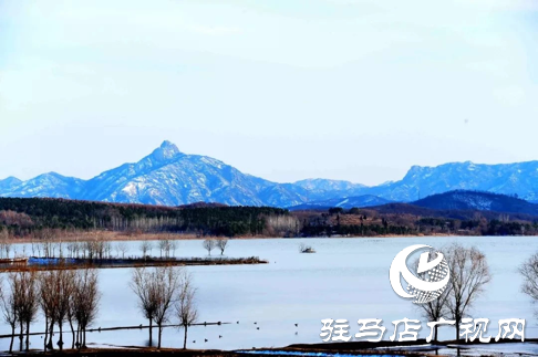 詩朗誦《銅山湖雪岸、玉樹、水鳥........絕美的一幅畫》