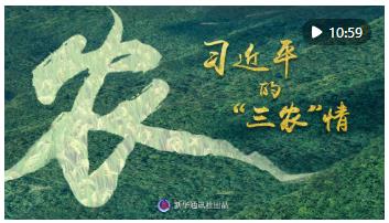 微紀錄片 | 習近平的“三農(nóng)”情