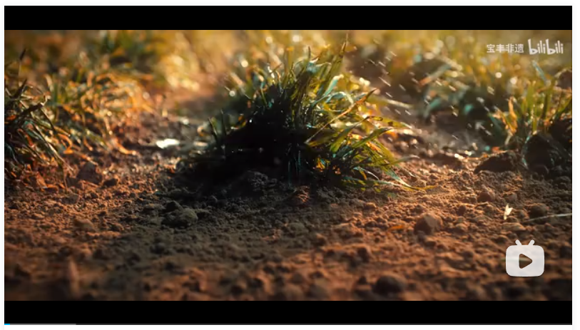 你可能不知道河南馬街書會(huì)，但她已在麥田里等了你一千年