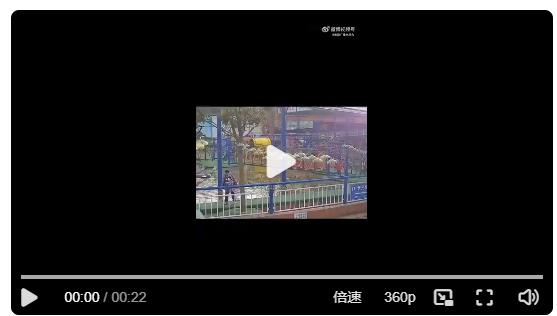 河南南陽(yáng): 女童景區(qū)游玩不慎落水，正在休假的民警劉甲星見(jiàn)狀立馬跳入冰冷的水中將其救起！