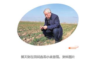 今日雨水，聽“郭小麥”出豐產(chǎn)“十招”