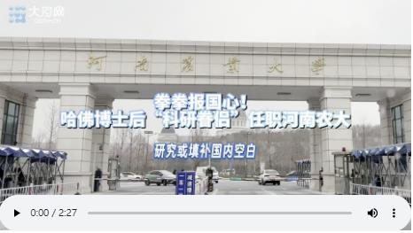 哈佛博士后“夫妻檔”任職河南高校：“13年前離家時(shí)就決定學(xué)成歸國(guó)！”