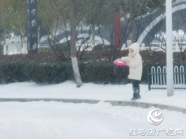 2024年后這場大雪你滑雪了嗎?快來看看各種各樣的滑雪模式！