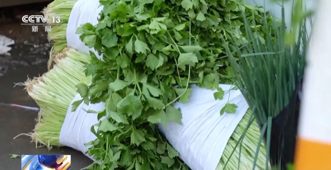 轉(zhuǎn)賣芹菜賺14元被罰10萬，這樣的處罰合理嗎？