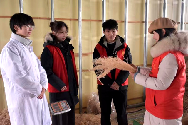 黃淮學(xué)院組織科技特派員到西平縣紅薯基地進(jìn)行技術(shù)指導(dǎo)