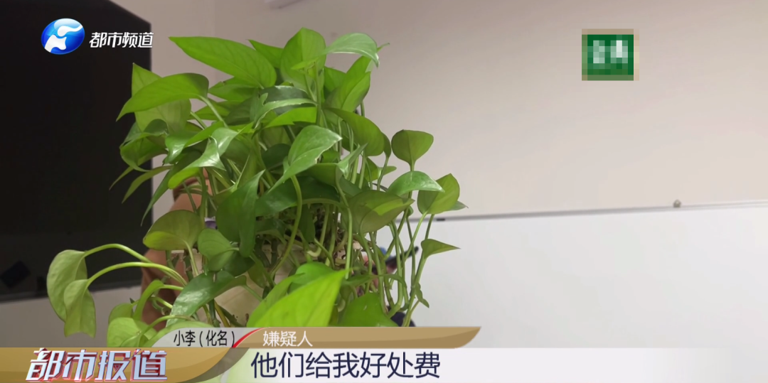 出借身份證，莫名成“法人”！竟還涉嫌洗錢(qián)？