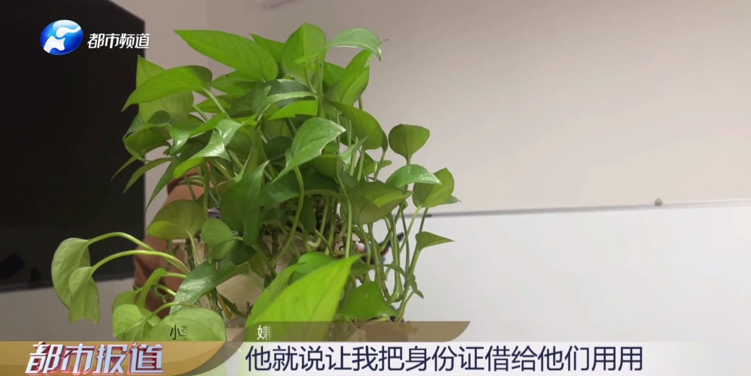 出借身份證，莫名成“法人”！竟還涉嫌洗錢(qián)？