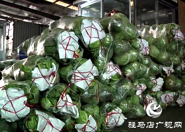氣溫回升 運(yùn)輸通暢 駐馬店蔬菜價格降幅較大