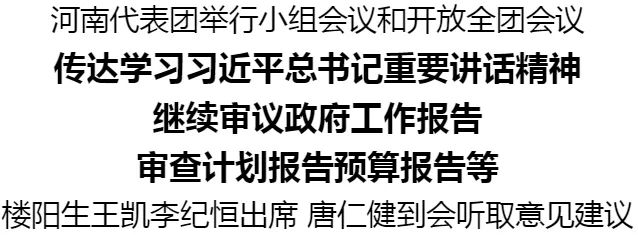 河南代表團(tuán)舉行小組會議和開放全團(tuán)會議