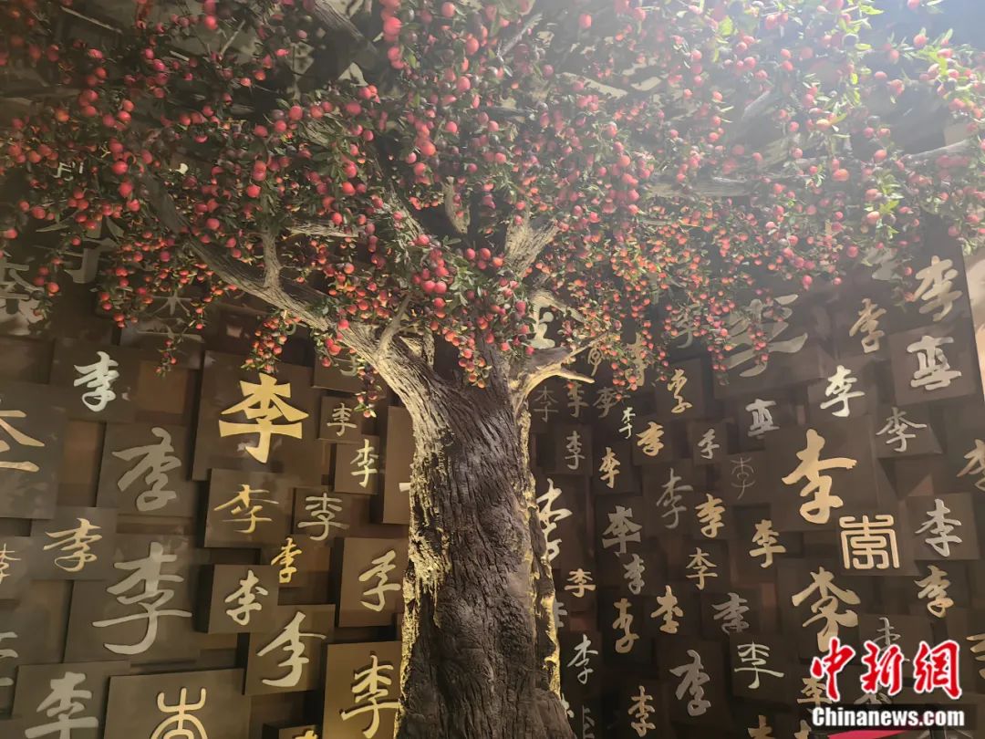人這一輩子，一定要去一趟周口！