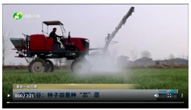 中原農谷：種子田里種“芯”愿|春耕一線觀察