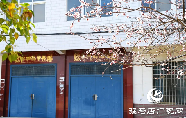 泌陽縣：枝頭覓春意 花開動(dòng)人心
