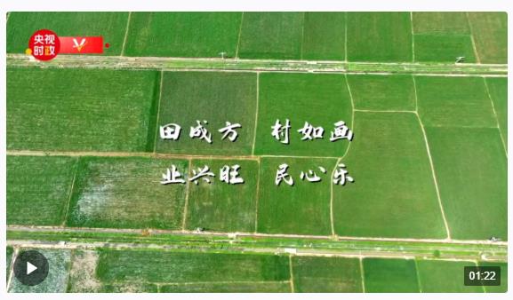 習(xí)近平湖南行丨強(qiáng)化農(nóng)業(yè)科技支撐 繪就鄉(xiāng)村全面振興新畫(huà)卷——走進(jìn)常德市鼎城區(qū)謝家鋪鎮(zhèn)港中坪村