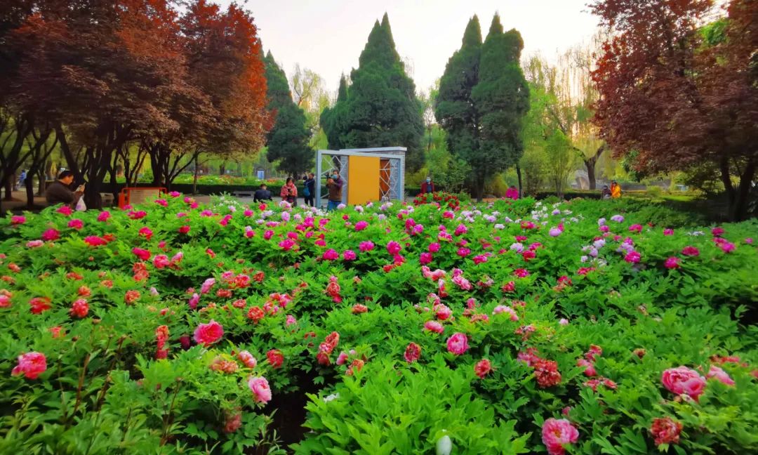 今天，洛陽向全世界發(fā)出邀請(qǐng)！