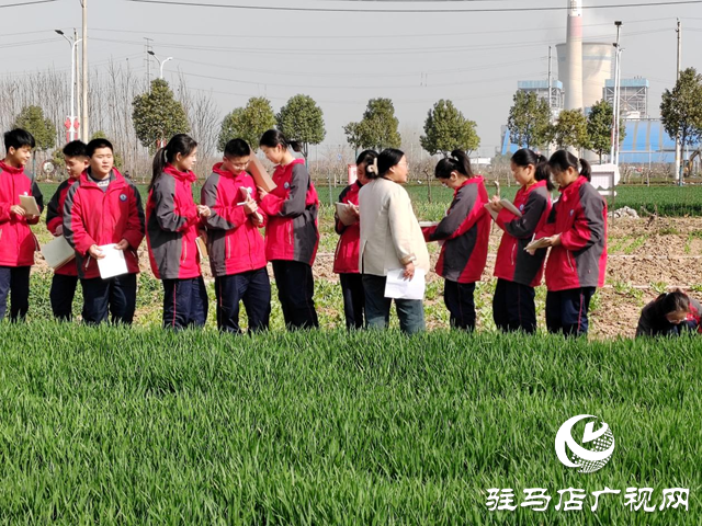 駐馬店市實(shí)驗(yàn)中學(xué)開展戶外寫作體驗(yàn)活動(dòng)