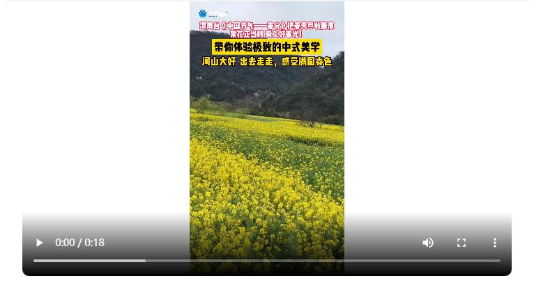 河山大好，出去走走！《中國節(jié)氣——春分》帶你體驗(yàn)中式美學(xué)