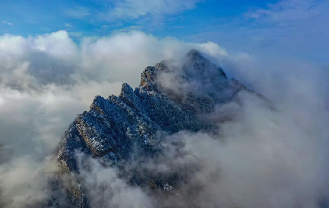 今天，洛陽向全世界發(fā)出邀請(qǐng)！