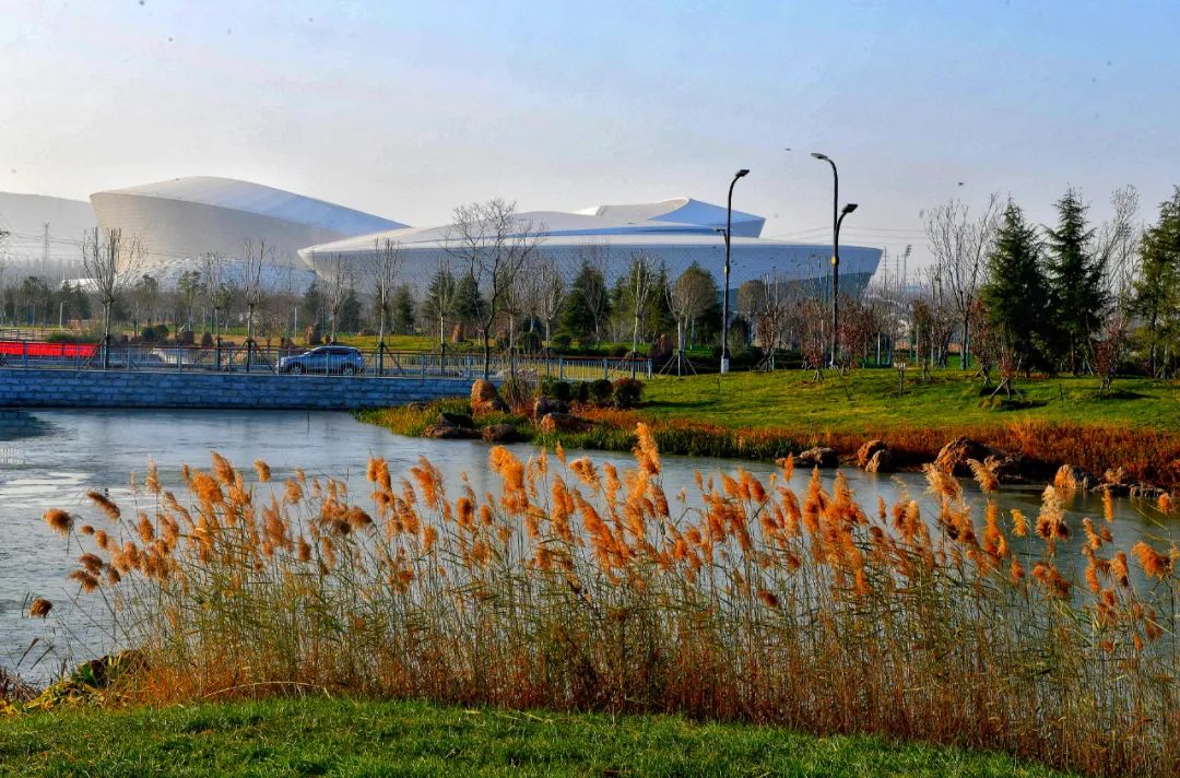 今天，洛陽向全世界發(fā)出邀請(qǐng)！