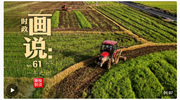 時(shí)政畫說丨一年之計(jì)