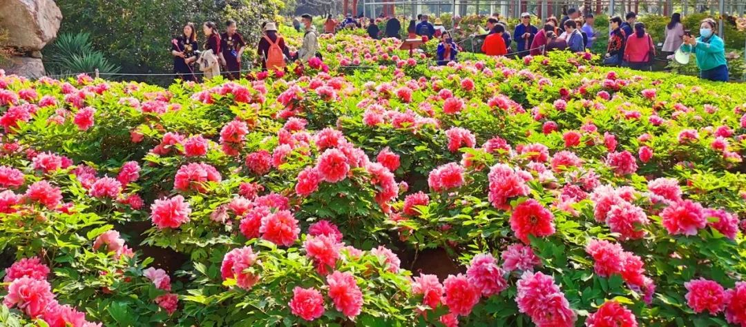 今天，洛陽向全世界發(fā)出邀請(qǐng)！