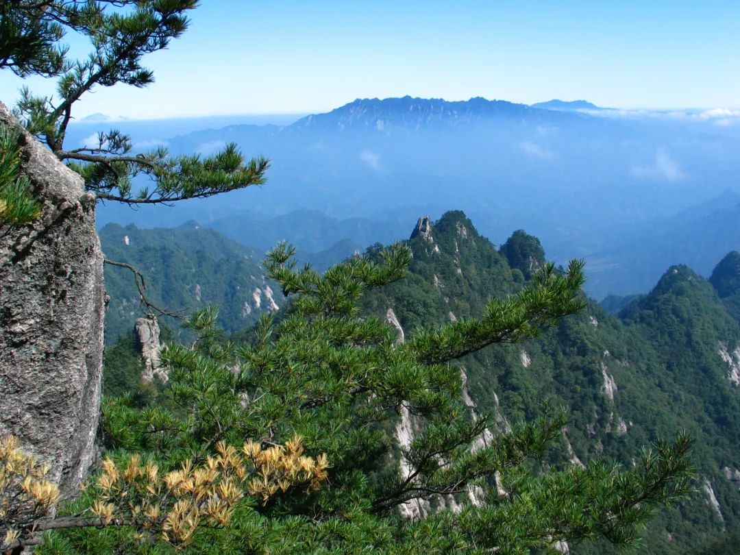 今天，洛陽向全世界發(fā)出邀請(qǐng)！