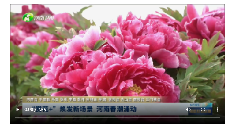 “賞花+”煥發(fā)新場(chǎng)景 河南春潮涌動(dòng)