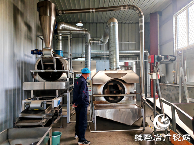 平輿縣古槐街道南陳社區(qū)：發(fā)展壯大白芝麻種植和加工產業(yè) 加快推進共同富裕加工園建設