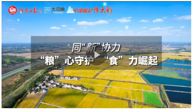 同“新”協(xié)力丨“糧”心守護(hù)，“食”力崛起