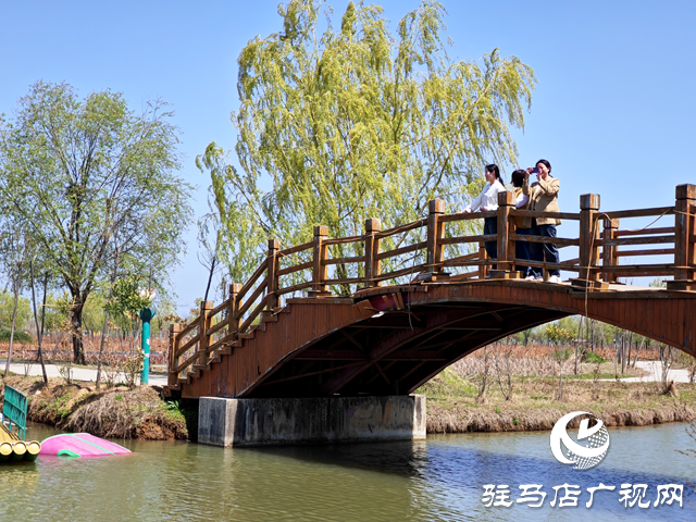 2024年全國(guó)夏季“村晚”示范展示點(diǎn)公布，平輿縣西洋店鎮(zhèn)西洋潭村榜上有名