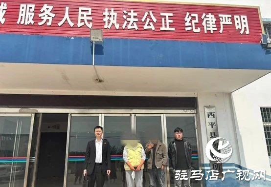 西平縣人民法院：一“執(zhí)”到底 切實維護群眾利益