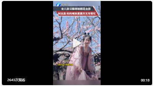 舅舅開(kāi)叉車(chē)幫外甥女跟桃花合影