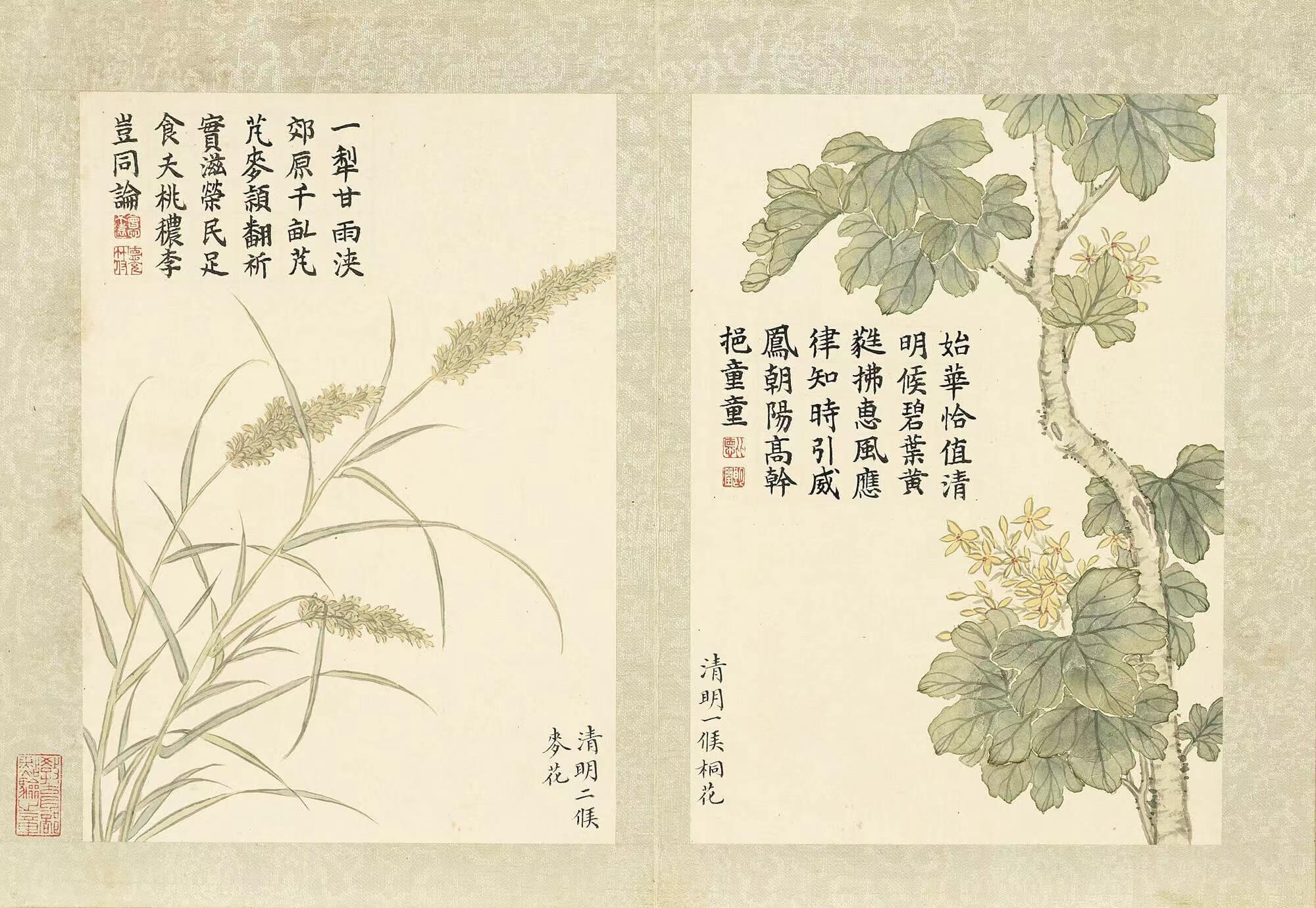 詩意微動(dòng)畫丨梨花風(fēng)起正清明