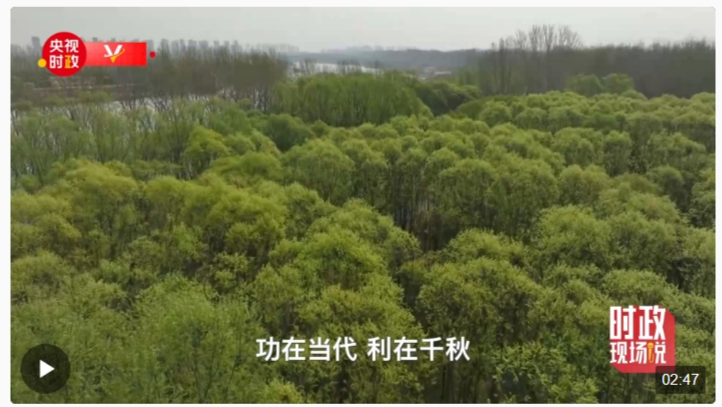 時(shí)政現(xiàn)場(chǎng)說丨植樹添新綠 不負(fù)好時(shí)節(jié)