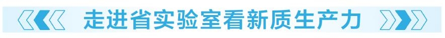 為新質(zhì)生產(chǎn)力發(fā)展蓄勢(shì)賦能 省實(shí)驗(yàn)室緣何成為“科研尖兵”