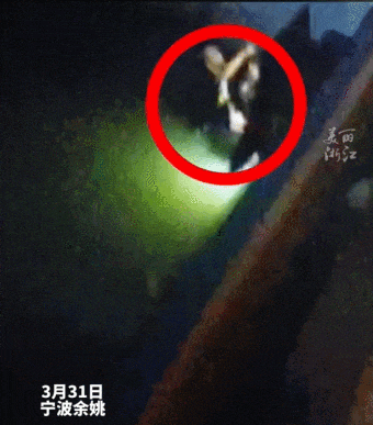 摔斷四根肋骨！那一刻，他得多疼啊……