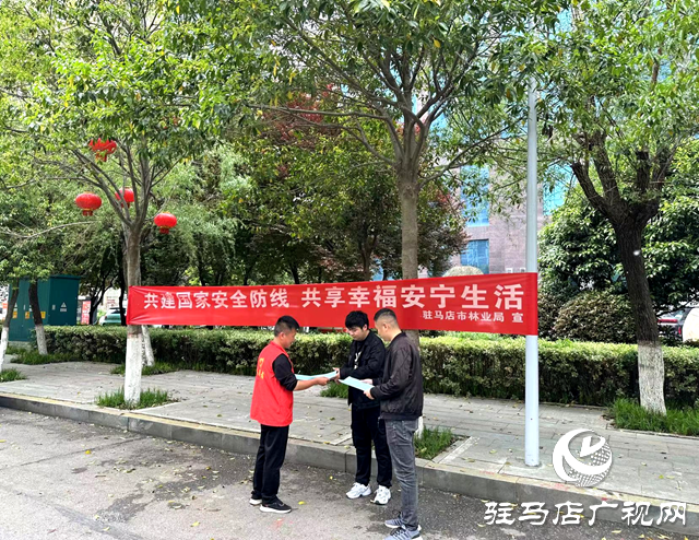 駐馬店市林業(yè)局組織開展國(guó)家安全教育系列活動(dòng)