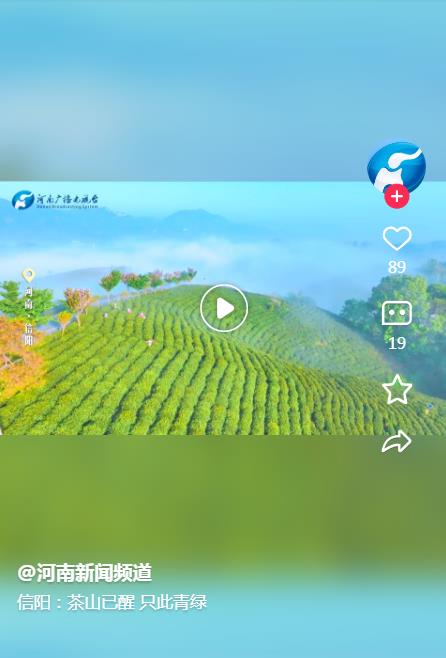 信陽(yáng)：茶山已醒只此青綠