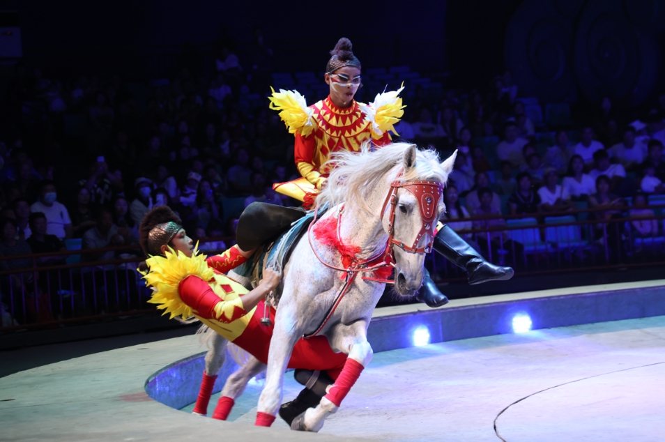 央媒觀豫 | 周口:讓古老雜技文化既火又“活”