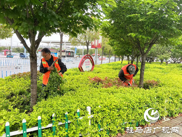 駐馬店西站對站前廣場進(jìn)行綠化養(yǎng)護(hù)