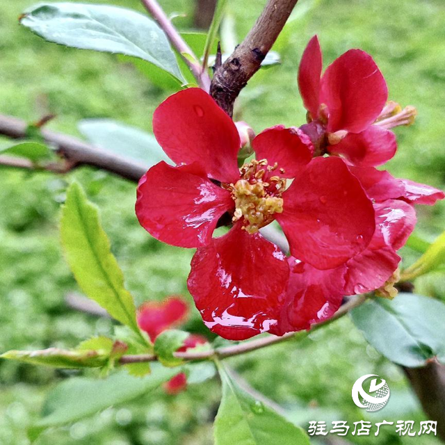 熱愛(ài)讓我們心甘情愿