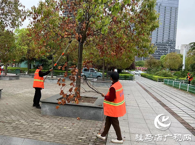 駐馬店西站對站前廣場進(jìn)行綠化養(yǎng)護(hù)